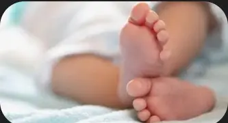 Gempar, Warga Sripendowo-Ketapang Temukan Bayi DiLadang